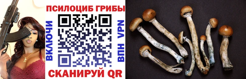 Псилоцибиновые грибы мухоморы  Ревда 