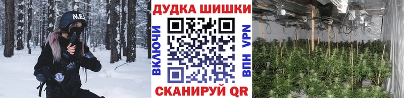 купить наркотик Ревда Конопля план